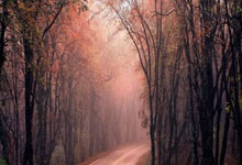 体育直播-SBTC强势JDG,Inspired完成帽子戏法——电竞巅峰的荣耀时刻