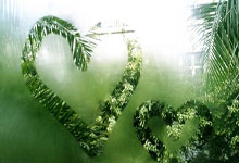 足球直播-利物浦逆转荷兰奇迹,莱万三分雨点燃全场狂欢