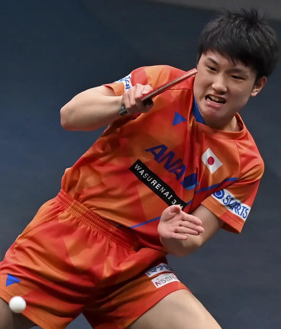 瑞典乒乓球队逆转英国乒乓球队,张本智和高光表现的简单介绍 瑞典乒乓球队逆转英国乒乓球队,张本智和高光表现的简单介绍